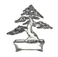estilo bonsai moyogi