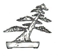 estilo bonsai shakan