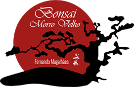 Bonsai Morro Velho